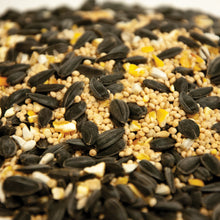 Load image into Gallery viewer, Martha Stewart MTS-PRMBRDSD 5-LB. Premium Bird Seed