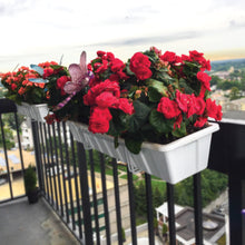 Load image into Gallery viewer, Sun Joe Deco Joe Adjustable Flower Box Holder in White