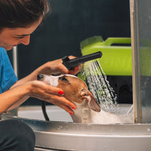 Load image into Gallery viewer, Sun Joe WA24C-LT-SJG 24-Volt iON+ Multi-Purpose Clean-Anywhere Portable Spray Washer | 116-PSI | 5-Gallon | W/ 2.5-Ah Battery and Charger
